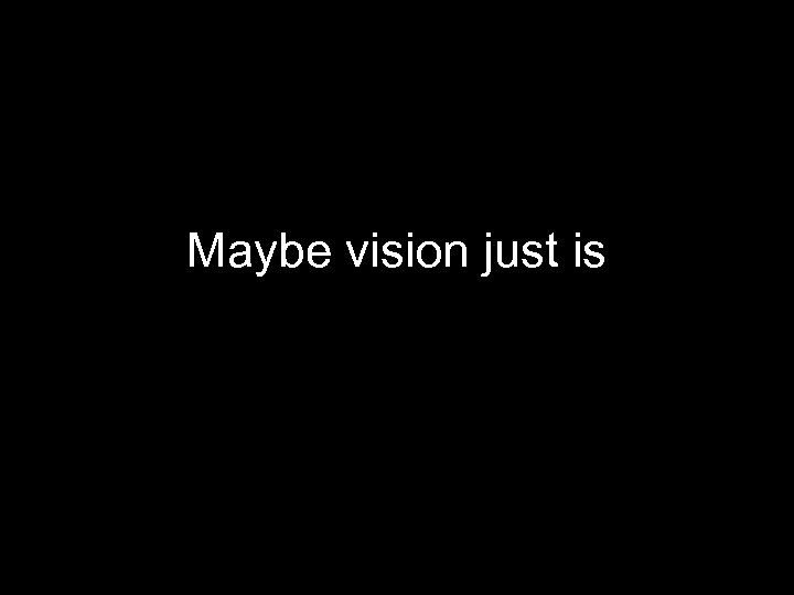 Maybe vision just is 