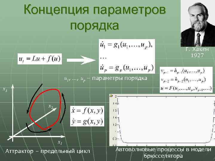 Параметр порядка. Брюсселятор. Брюсселятор Пригожина. Модель брюсселятора.