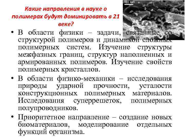 Какие направления в науке о полимерах будут доминировать в 21 веке? • В области