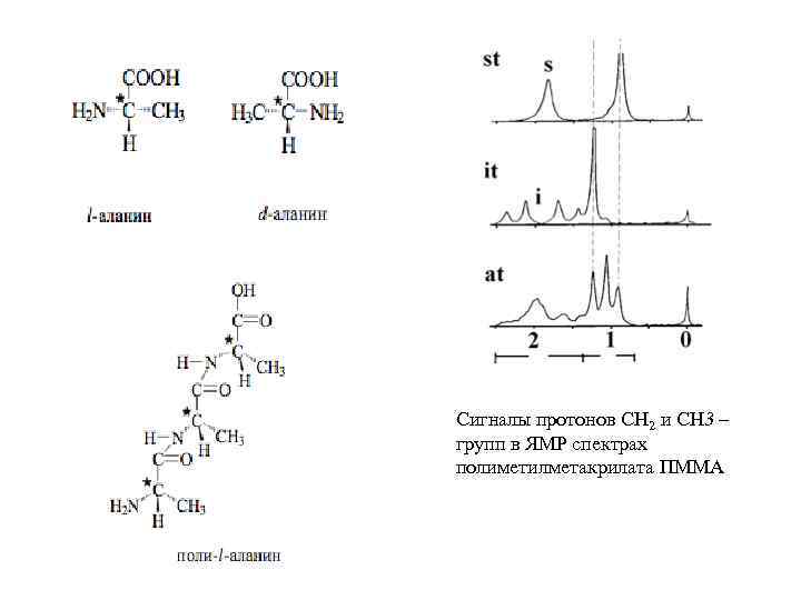 Сигналы протонов СН 2 и СН 3 – групп в ЯМР спектрах полиметилметакрилата ПММА