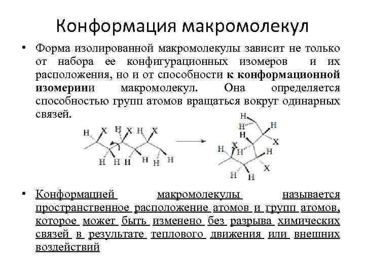 Конформация макромолекул • Форма изолированной макромолекулы зависит не только от набора ее конфигурационных изомеров