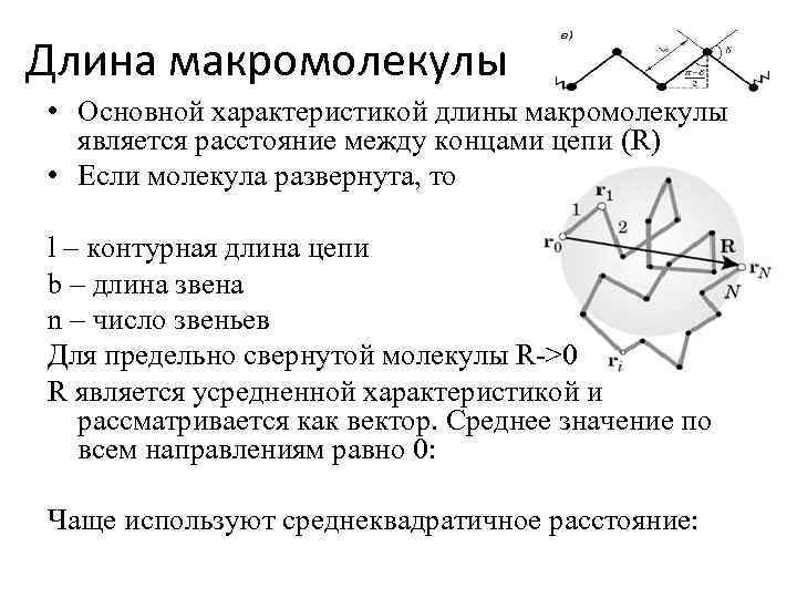 Длина макромолекулы • Основной характеристикой длины макромолекулы является расстояние между концами цепи (R) •