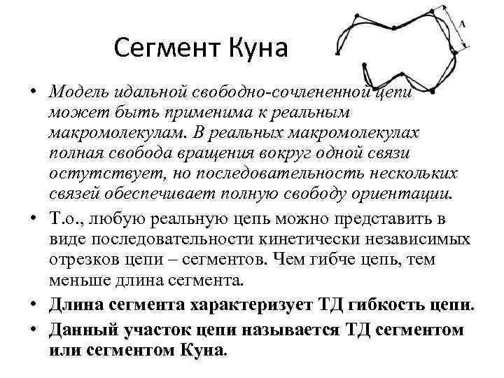 Низкий сегмент. Сегмент куна. Термодинамический сегмент куна. Статический сегмент куна. Сегмент куна для полимеров.