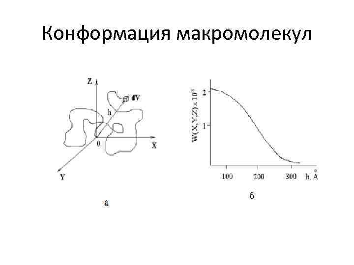 Конформация макромолекул 