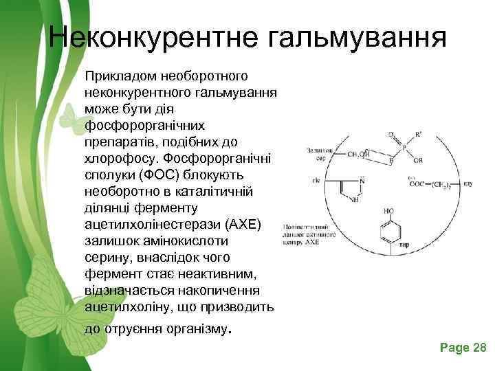 Неконкурентне гальмування Прикладом необоротного неконкурентного гальмування може бути дія фосфорорганічних препаратів, подібних до хлорофосу.