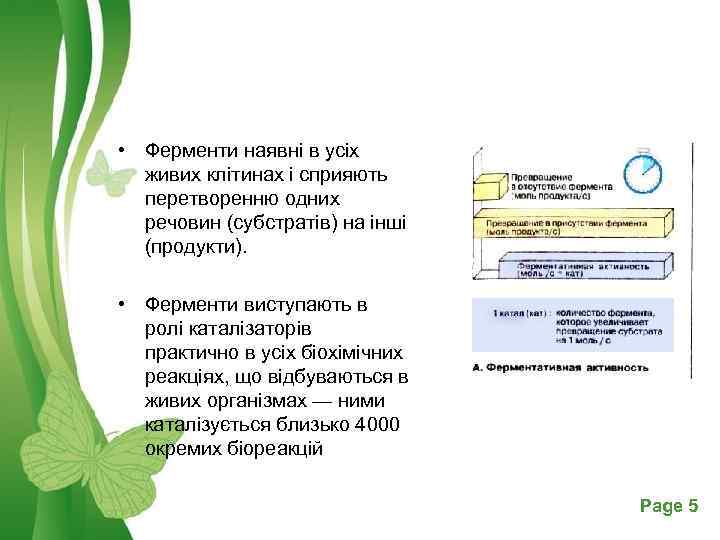  • Ферменти наявні в усіх живих клітинах і сприяють перетворенню одних речовин (субстратів)