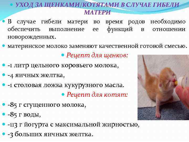  УХОД ЗА ЩЕНКАМИ/КОТЯТАМИ В СЛУЧАЕ ГИБЕЛИ МАТЕРИ В случае гибели матери во время
