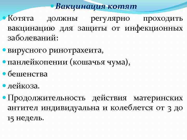  Вакцинация котят Котята должны регулярно проходить вакцинацию для защиты от инфекционных заболеваний: вирусного