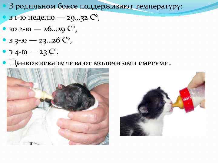  В родильном боксе поддерживают температуру: в 1 -ю неделю — 29… 32 С°,