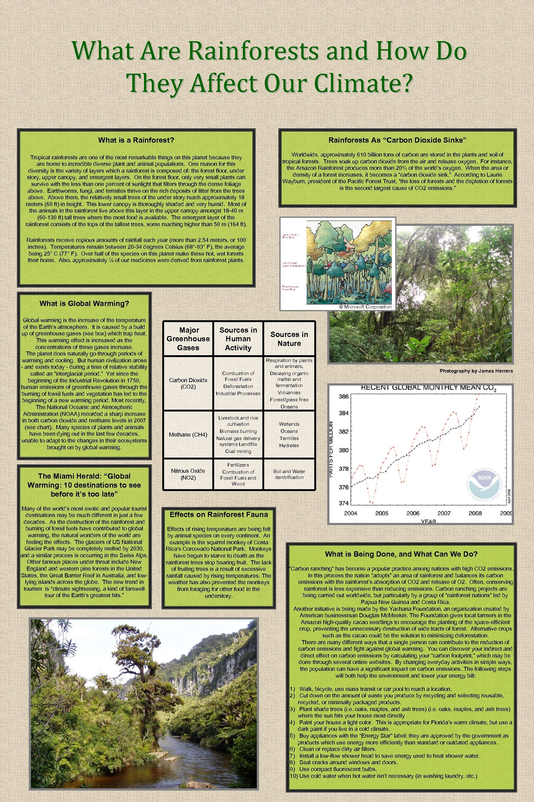 What Are Rainforests and How Do They Affect Our Climate? What is a Rainforest?