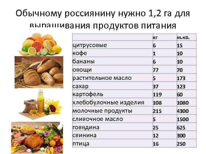 Обычному россиянину нужно 1, 2 га для выращивания продуктов питания цитрусовые кофе бананы овощи