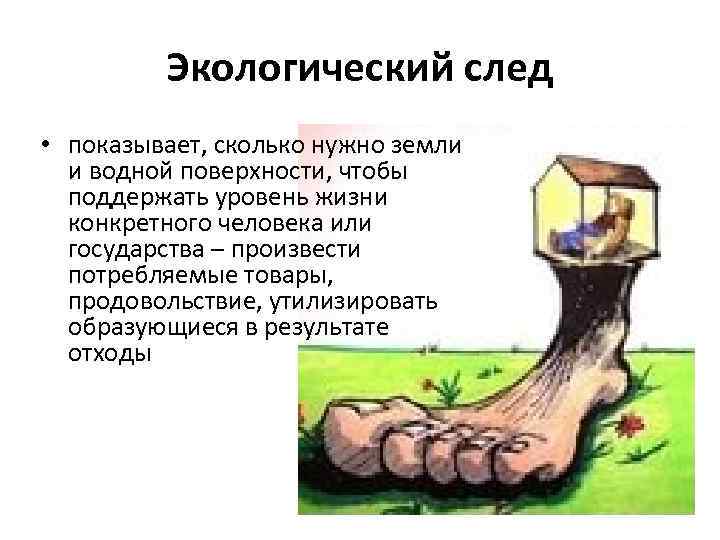 Экологический след • показывает, сколько нужно земли и водной поверхности, чтобы поддержать уровень жизни