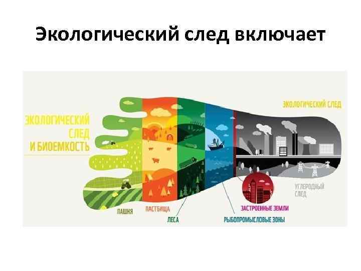 Экологический след включает 