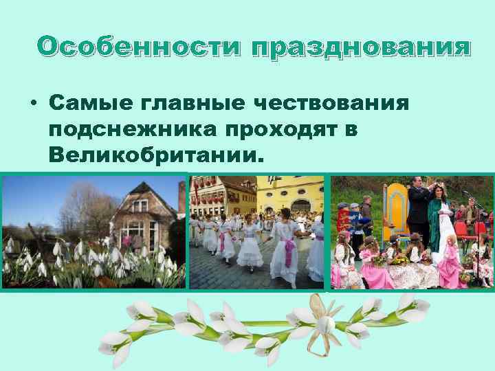 Особенности празднования • Самые главные чествования подснежника проходят в Великобритании. 