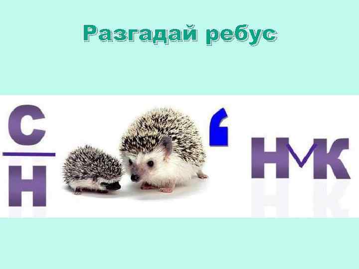 Разгадай ребус 