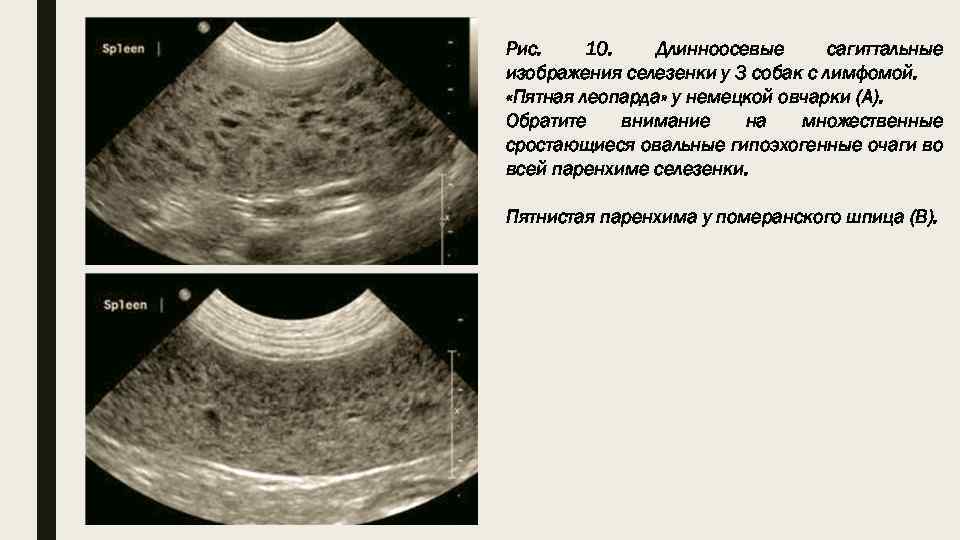 При предъявлении для опознания по фотоснимкам не следует использовать следующие фотографии