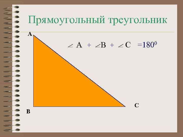 Прямоугольный треугольник A A + B B + C =1800 C 