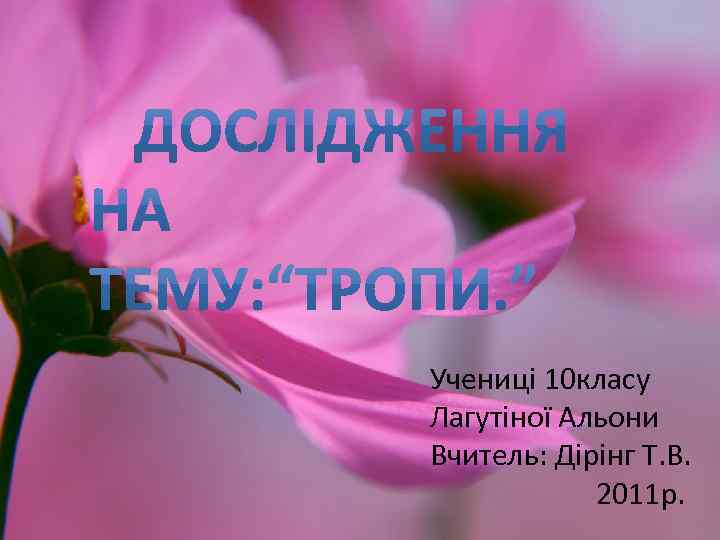 Учениці 10 класу Лагутіної Альони Вчитель: Дірінг Т. В. 2011 р. 