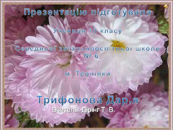 Вчитель: Дірінг Т. В. 