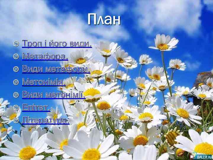 План Троп і його види. Метафора. Види метафори. Метонімія. Види метонімії. Епітет. Література. 