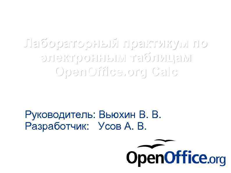 Лабораторный практикум по электронным таблицам Open. Office. org Calc Руководитель: Вьюхин В. В. Разработчик: