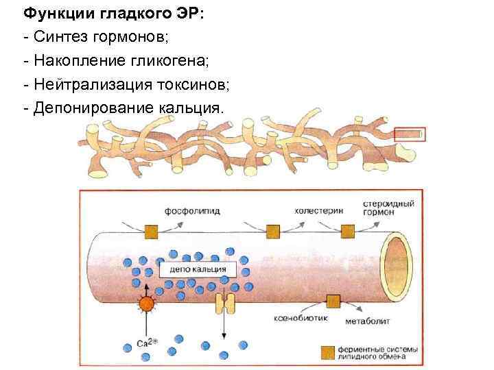 Что такое депонирование файла