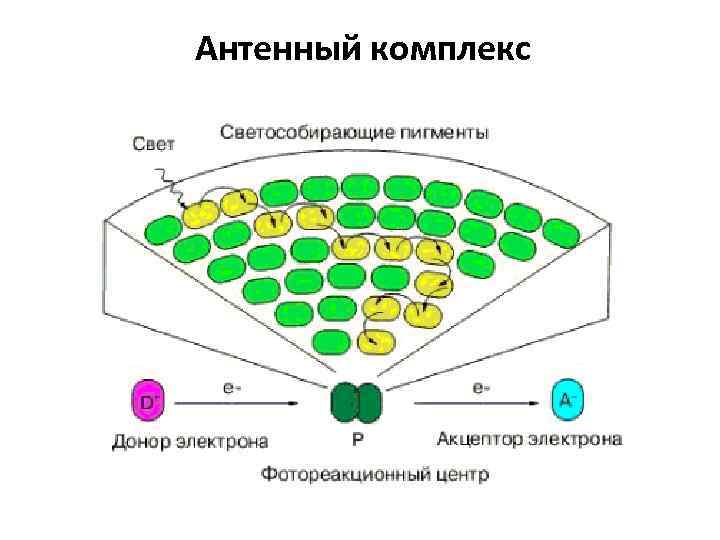 Антенный комплекс 