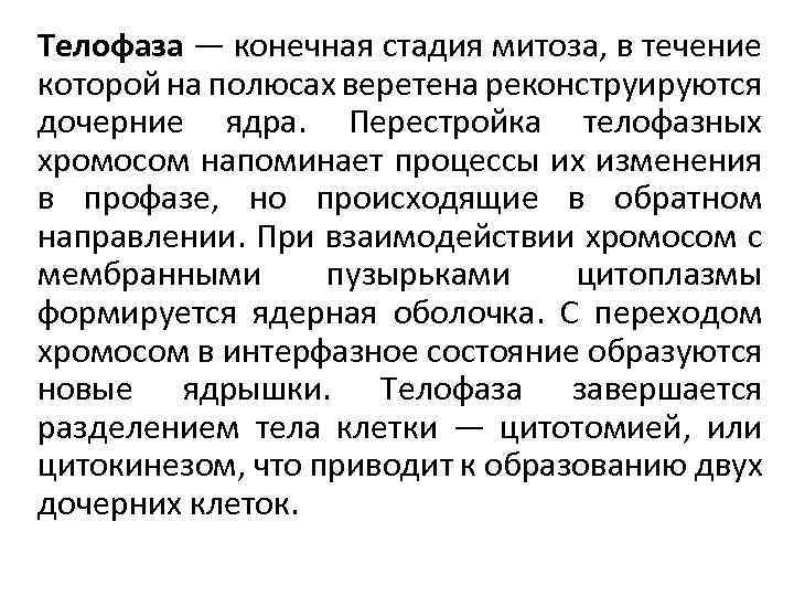 Телофаза — конечная стадия митоза, в течение которой на полюсах веретена реконструируются дочерние ядра.