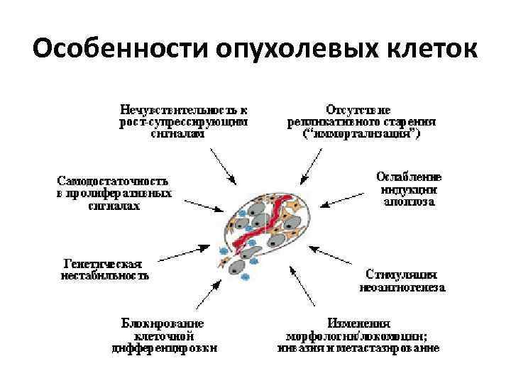 Особенности опухолевых клеток 