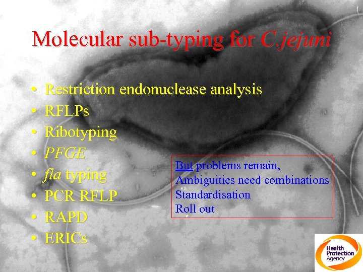 Molecular sub-typing for C. jejuni • • Restriction endonuclease analysis RFLPs Ribotyping PFGE But