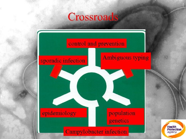 Crossroads control and prevention sporadic infection epidemiology Ambiguous typing population genetics Campylobacter infection 