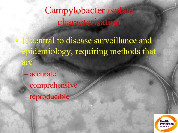 Campylobacter isolate characterisation • Is central to disease surveillance and epidemiology, requiring methods that