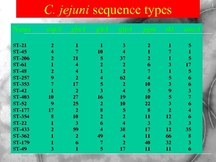 C. jejuni sequence types Name asp. A gln. A glt. A gly. A pgm