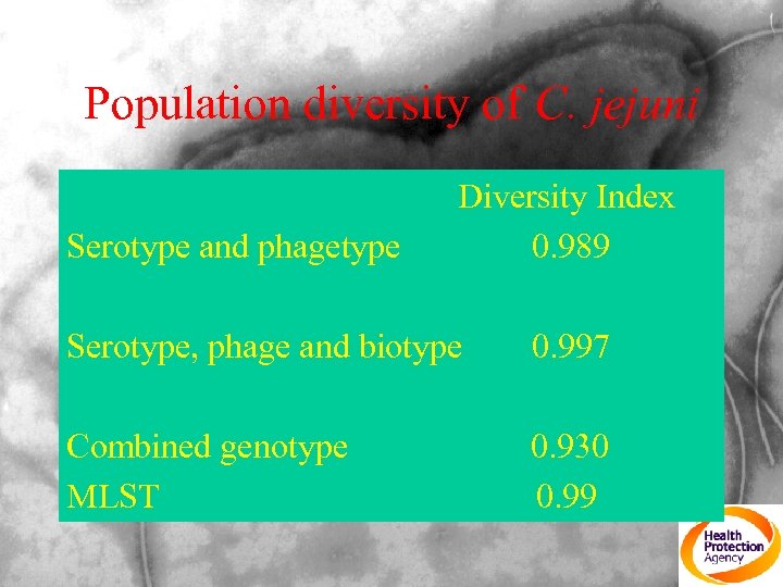 Population diversity of C. jejuni Diversity Index Serotype and phagetype 0. 989 Serotype, phage