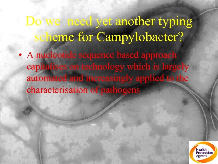Do we need yet another typing scheme for Campylobacter? • A nucleotide sequence based