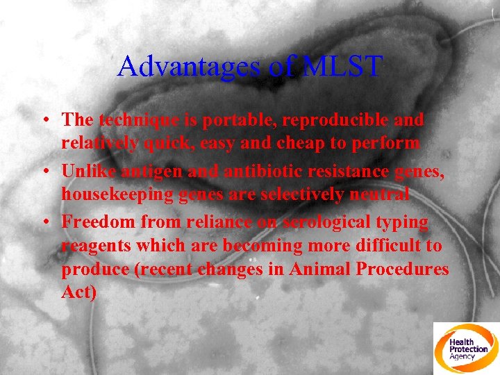 Advantages of MLST • The technique is portable, reproducible and relatively quick, easy and