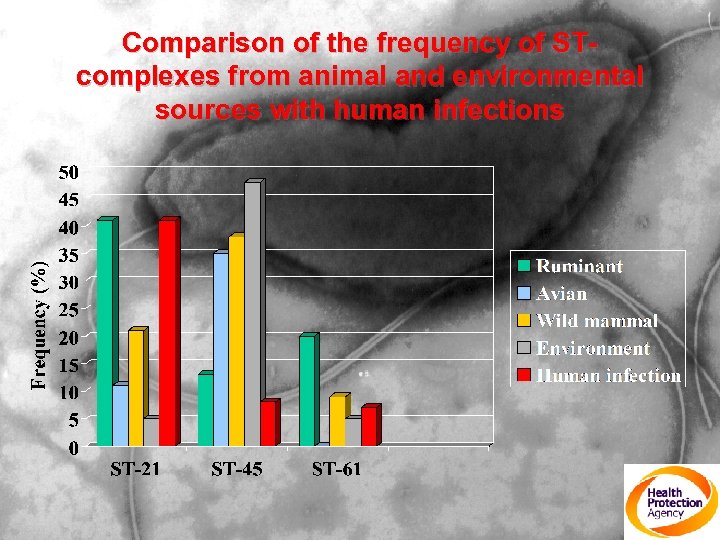 Comparison of the frequency of STcomplexes from animal and environmental sources with human infections