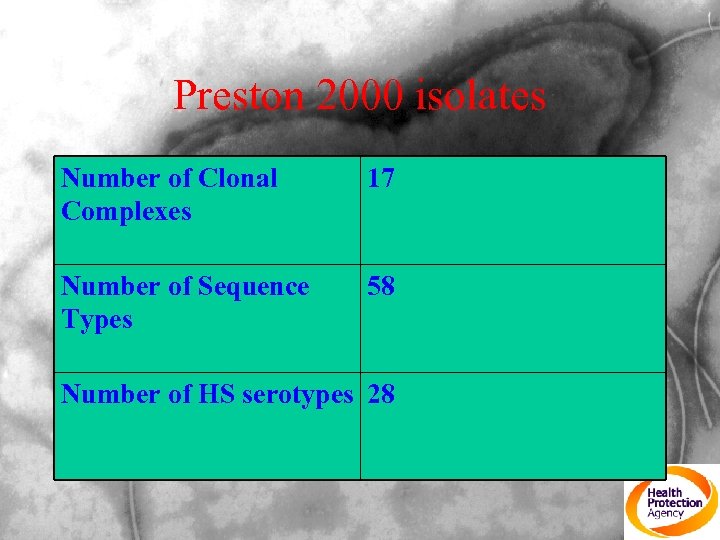 Preston 2000 isolates Number of Clonal Complexes 17 Number of Sequence Types 58 Number