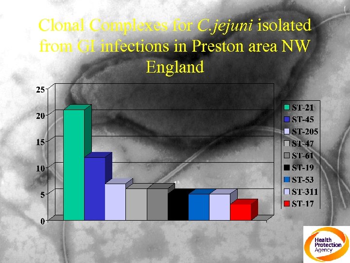 Clonal Complexes for C. jejuni isolated from GI infections in Preston area NW England