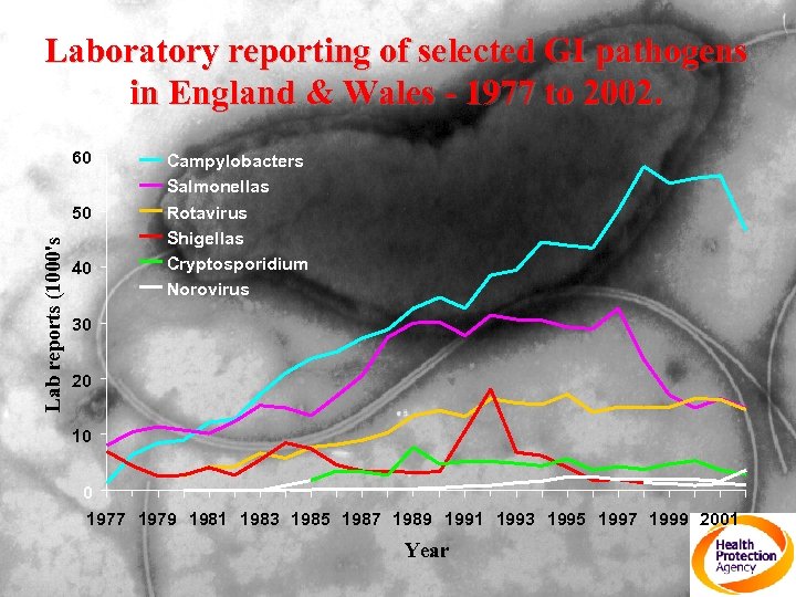Laboratory reporting of selected GI pathogens in England & Wales - 1977 to 2002.