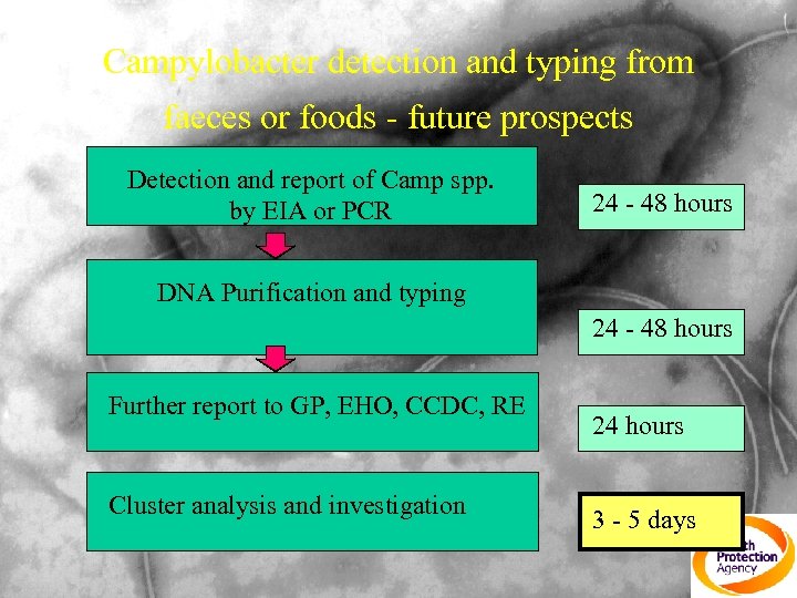 Campylobacter detection and typing from faeces or foods - future prospects Detection and report