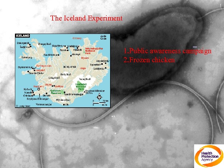 The Iceland Experiment 1. Public awareness campaign 2. Frozen chicken 