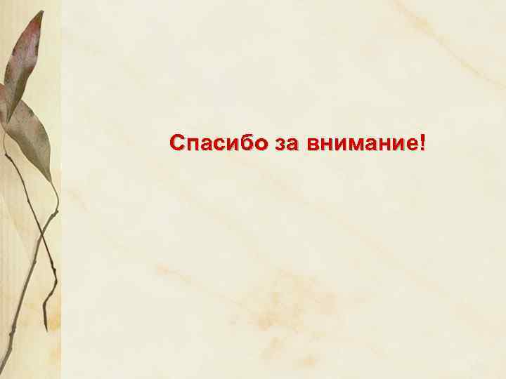 Спасибо за внимание! 