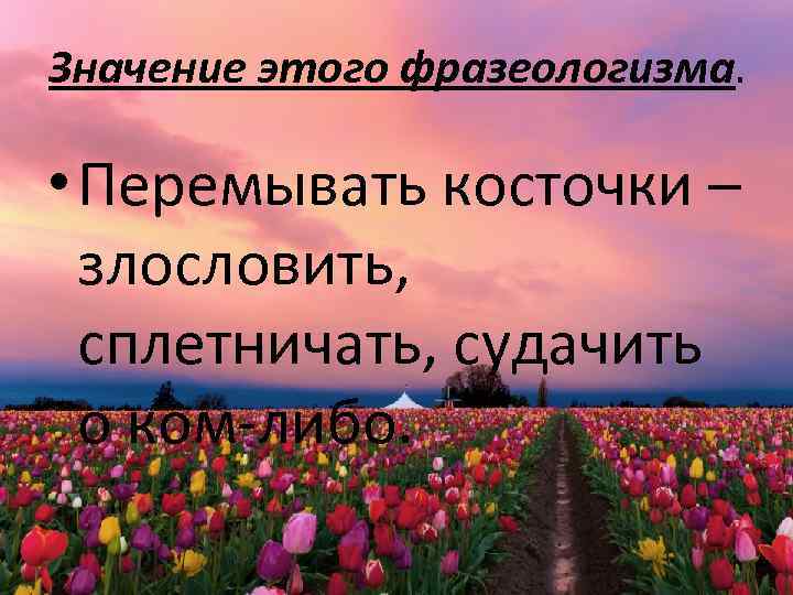 Значение этого фразеологизма. • Перемывать косточки – злословить, сплетничать, судачить о ком-либо. 