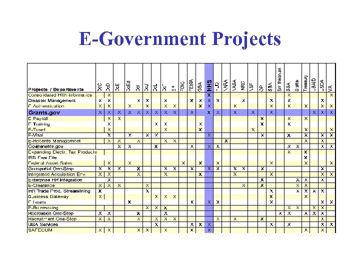 E-Government Projects 