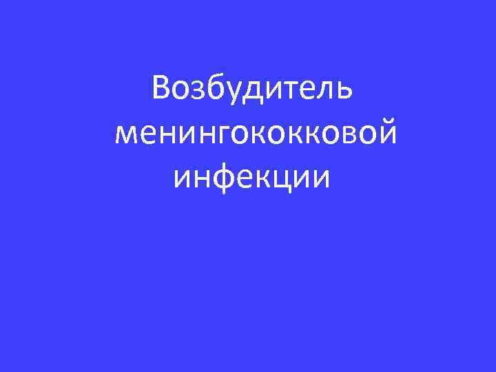Возбудитель менингококковой инфекции 