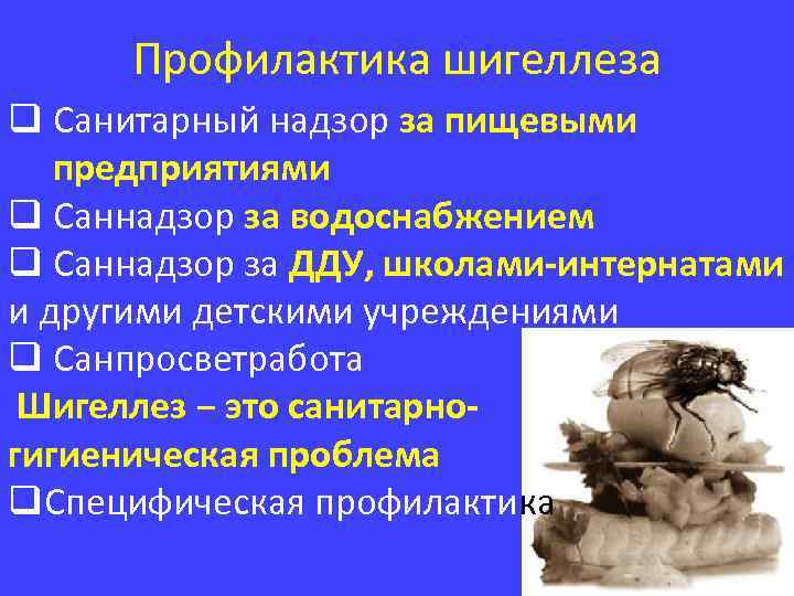 Профилактика шигеллеза q Санитарный надзор за пищевыми предприятиями q Саннадзор за водоснабжением q Саннадзор