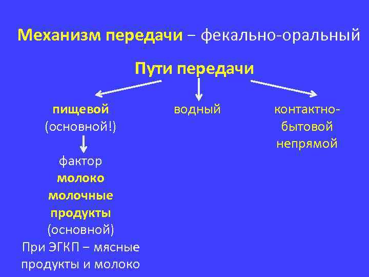 Механизм передачи − фекально-оральный Пути передачи пищевой (основной!) фактор молоко молочные продукты (основной) При