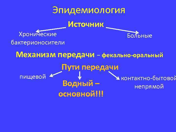 Эпидемиология Источник Хронические бактерионосители Больные Механизм передачи − фекально-оральный Пути передачи пищевой Водный –