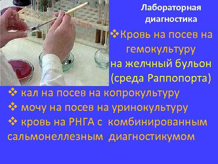 Лабораторная диагностика v. Кровь на посев на гемокультуру на желчный бульон (среда Раппопорта) v